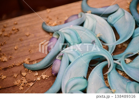 お行儀よく並んだヒスイカズラ 138489316