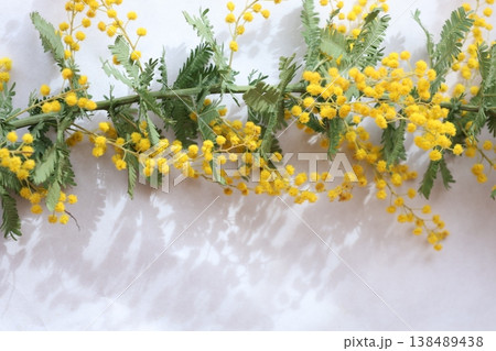 ミモザの花束を使った写真 138489438