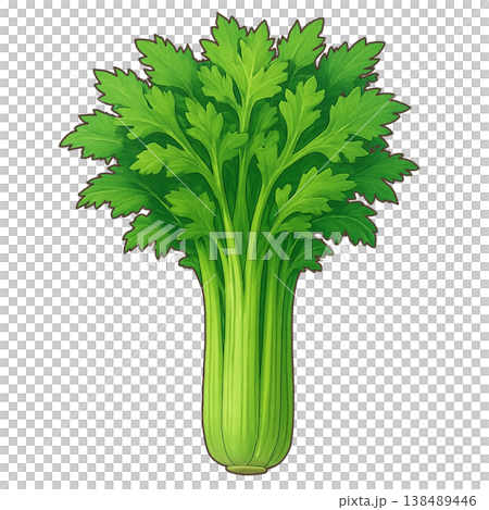 セロリ 138489446