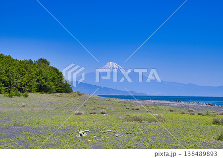 【静岡県】三保の松原と富士山 138489893