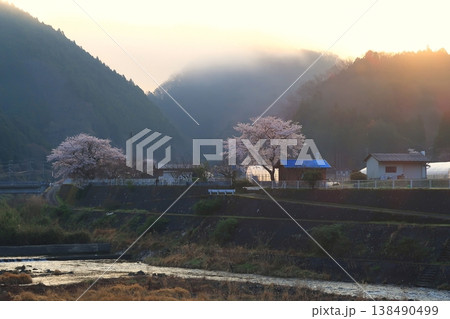 京都 南丹市 園部 殿田 日吉 桜 さくら 満開 花 山 朝 京都 南丹市 園部 殿田 日吉 桜 さくら 満開 花 山 朝 138490499