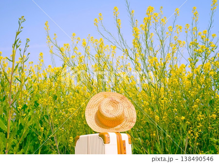 春の花と青空をのぞむバゲージ&ハット 春の花と青空をのぞむバゲージ&ハット 138490546