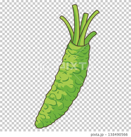 野菜-わさび 野菜-わさび 138490566