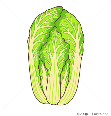 野菜-白菜 138490568