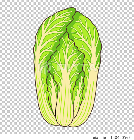 野菜-白菜 138490568