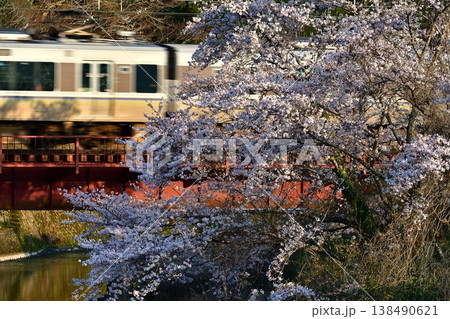 鉄道　列車　山陰本線　京都口　園部　殿田　日吉　鉄橋　桜　さくら　満開　普通 138490621