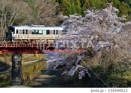 鉄道　列車　山陰本線　京都口　園部　殿田　日吉　鉄橋　桜　さくら　満開　普通 138490622