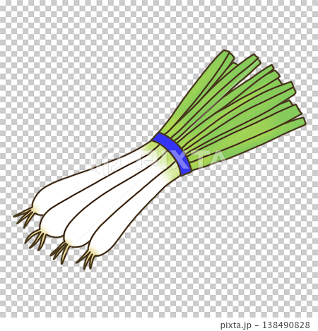 野菜-エシャレット 138490828