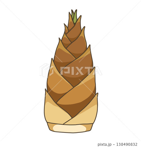 野菜-たけのこ 野菜-たけのこ 138490832