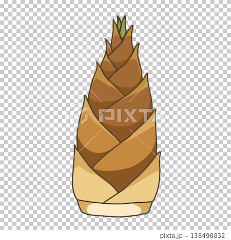 野菜-たけのこ 野菜-たけのこ 138490832