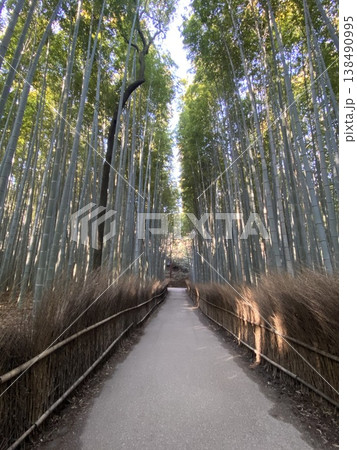 誰もいない嵐山 竹林の小径 誰もいない嵐山 竹林の小径 138490995