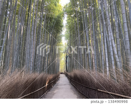 誰もいない嵐山　竹林の小径 138490998