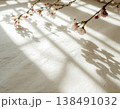 春の和紙背景｜桜の枝影と自然光 138491032