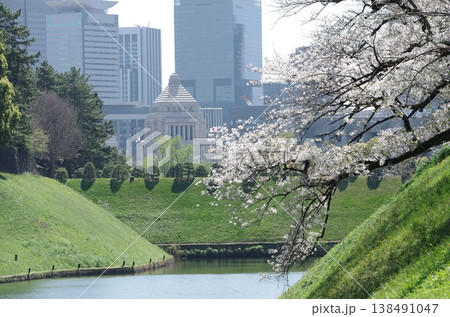 桜満開の千鳥ヶ淵から見た国会議事堂 横位置 桜満開の千鳥ヶ淵から見た国会議事堂 横位置 138491047