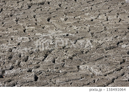 水が引き乾燥した池底の土 水が引き乾燥した池底の土 138491064