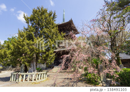 道成寺 三重塔と桜 道成寺 三重塔と桜 138491103