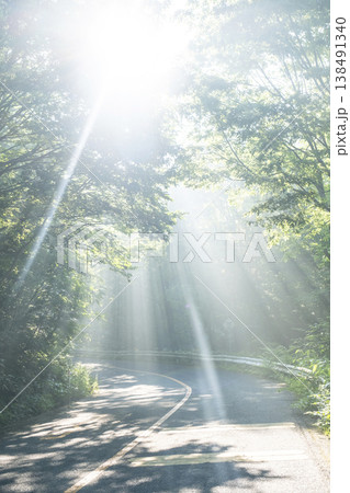 新緑の森の道に光芒が差し込む風景 奥大山 新緑の森の道に光芒が差し込む風景 奥大山 138491340