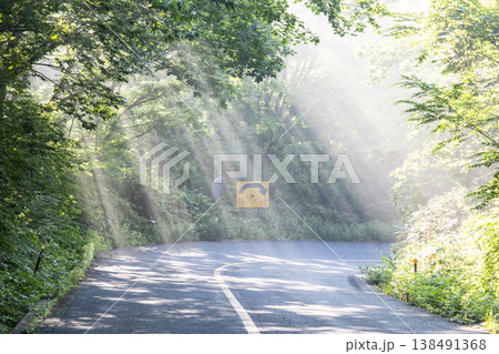 新緑の森の道に光芒が差し込む風景 奥大山 新緑の森の道に光芒が差し込む風景 奥大山 138491368