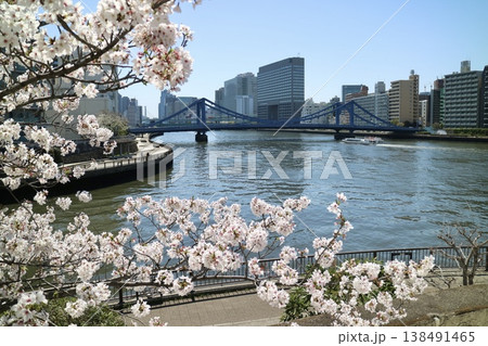 隅田川と桜 隅田川と桜 138491465