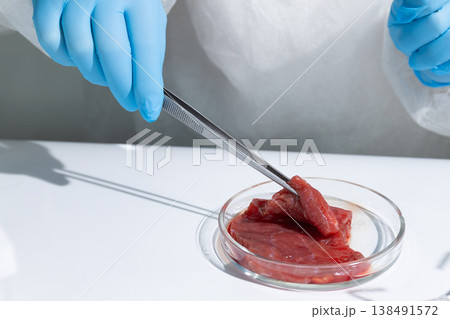 The process of growing meat In vitro in the laboratory. The concept of artificial food production. The process of growing meat In vitro in the laboratory. The concept of artificial food production. 138491572