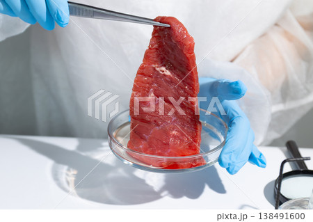 Woman scientist lifting lab-grown meat strip with forceps from petri dish. In vitro cultivation of artificial beef in biotechnology lab. Sustainable food production concept for future hunger Woman scientist lifting lab-grown meat strip with forceps from petri dish. In vitro cultivation of artificial beef in biotechnology lab. Sustainable food production concept for future hunger 138491600