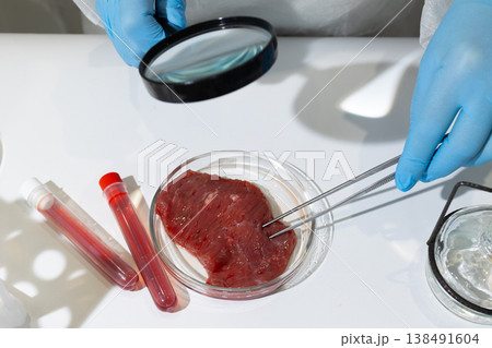 Scientist in lab coat examining cultured meat sample in petri dish with magnifying glass and tweezers. In vitro cultivation process for artificial meat production to address global hunger and promote Scientist in lab coat examining cultured meat sample in petri dish with magnifying glass and tweezers. In vitro cultivation process for artificial meat production to address global hunger and promote 138491604