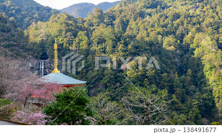 青岸渡寺三重塔相輪と那智の滝　和歌山県 138491677