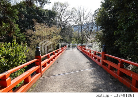 京都市山科区にある本圀寺参道の風景 京都市山科区にある本圀寺参道の風景 138491861