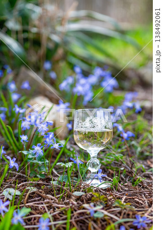 Glass of white wine placed among blooming spring flowers in garden, soft natural light and shallow depth of field creating calm atmosphere, outdoor lifestyle and relaxation concept Glass of white wine placed among blooming spring flowers in garden, soft natural light and shallow depth of field creating calm atmosphere, outdoor lifestyle and relaxation concept 138492061
