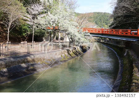 京都市山科区にある本圀寺参道の風景 京都市山科区にある本圀寺参道の風景 138492157