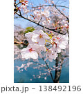 春の訪れ、ソメイヨシノ 138492196