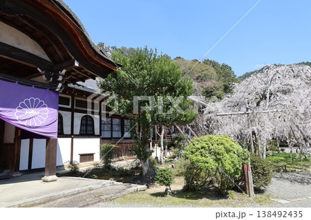 京都市山科区にある毘沙門堂境内の風景 京都市山科区にある毘沙門堂境内の風景 138492435