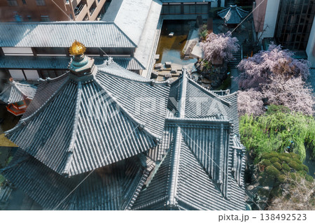 春　桜さく六角堂 138492523