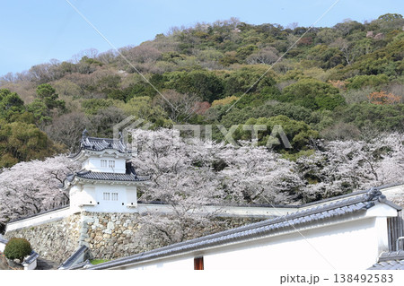 龍野城跡（兵庫県 たつの市） 138492583