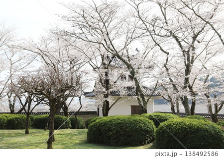龍野城跡(兵庫県 たつの市) 龍野城跡(兵庫県 たつの市) 138492586