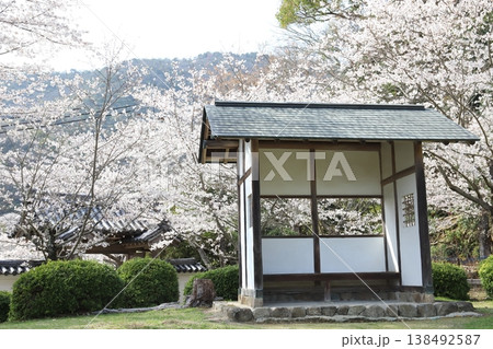 龍野城跡(兵庫県 たつの市) 龍野城跡(兵庫県 たつの市) 138492587