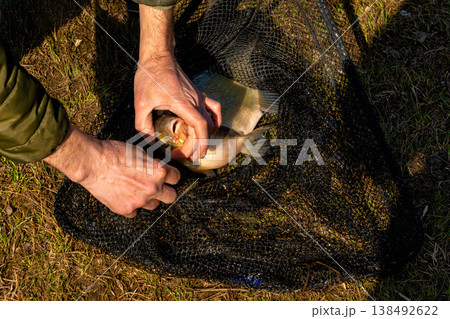 Hands Holding Large Fresh Bream Above Net 138492622