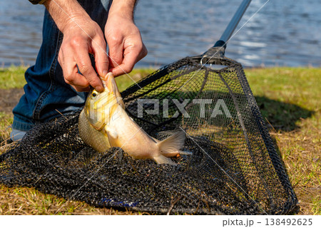 Silver Bream Fish Inside Black Landing Net Silver Bream Fish Inside Black Landing Net 138492625