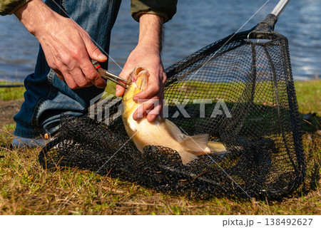 Hands Releasing Large Fish Back into Water Hands Releasing Large Fish Back into Water 138492627