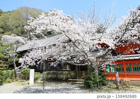 京都市山科区にある毘沙門堂境内の風景 京都市山科区にある毘沙門堂境内の風景 138492680