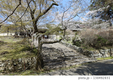 京都市山科区にある毘沙門堂参道の風景 138492831