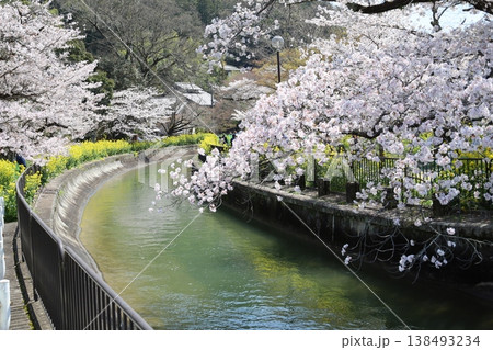 京都市山科区にある毘沙門天参道で見られる琵琶湖疎水の風景 京都市山科区にある毘沙門天参道で見られる琵琶湖疎水の風景 138493234