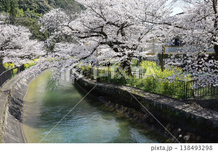 京都市山科区にある毘沙門天参道で見られる琵琶湖疎水の風景 京都市山科区にある毘沙門天参道で見られる琵琶湖疎水の風景 138493298