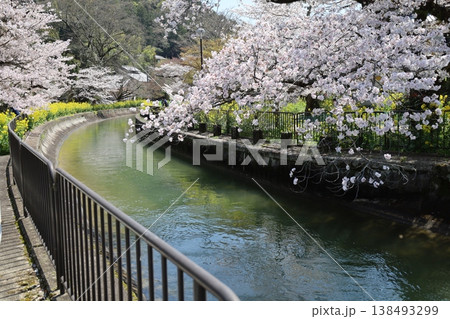 京都市山科区にある毘沙門天参道で見られる琵琶湖疎水の風景 京都市山科区にある毘沙門天参道で見られる琵琶湖疎水の風景 138493299