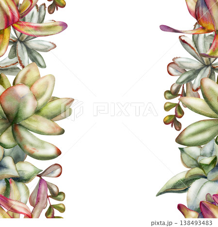 Botanical border of sedum fleshy leaves, echeveria rosettes, protea buds, kalanchoe succulent branches. Seamless isolated illustration hand drawn in watercolor. Modern stationery, eco invitations 138493483
