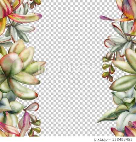 Botanical border of sedum fleshy leaves, echeveria rosettes, protea buds, kalanchoe succulent branches. Seamless isolated illustration hand drawn in watercolor. Modern stationery, eco invitations 138493483