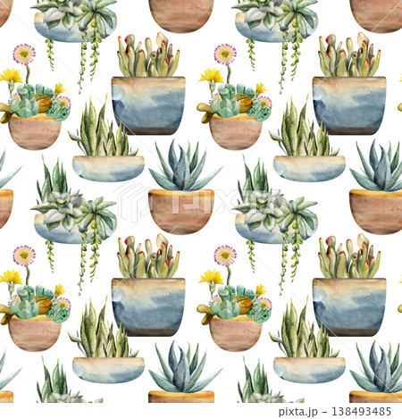 Succulent rosettes, trailing vines, lithops flowers in clay planters. Layered foliage, repeating flow. Isolated illustration hand drawn in watercolor. Seamless pattern for notebooks, wrapping paper 138493485