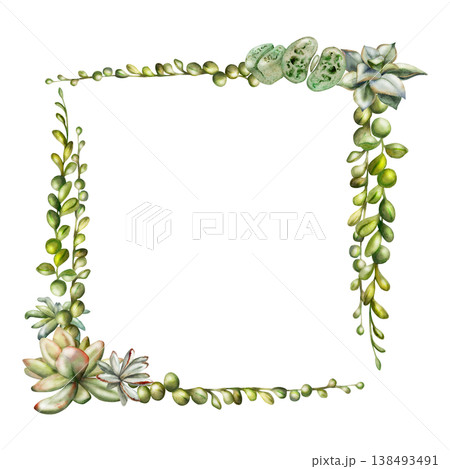 Sedum, echeveria rosette, trailing succulent curio string of beads vines. Isolated illustration hand drawn in watercolor. Corner frame for wedding invitations, eco packaging accents, plant care cards. Sedum, echeveria rosette, trailing succulent curio string of beads vines. Isolated illustration hand drawn in watercolor. Corner frame for wedding invitations, eco packaging accents, plant care cards. 138493491