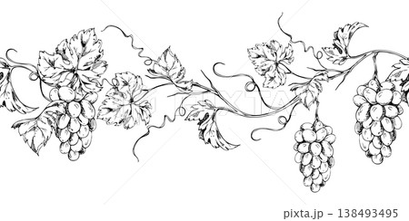 Elegant grapevine banner pattern with repeating tendrils, leaves on creepers and grape bunches. Seamless botanical ink vector illustration. Label borders, social media graphics, culinary branding. Elegant grapevine banner pattern with repeating tendrils, leaves on creepers and grape bunches. Seamless botanical ink vector illustration. Label borders, social media graphics, culinary branding. 138493495