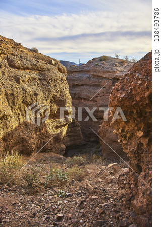 Sunlit Slot Canyon Walls and Desert Vegetation in Rugged Arid Landscape Sunlit Slot Canyon Walls and Desert Vegetation in Rugged Arid Landscape 138493786